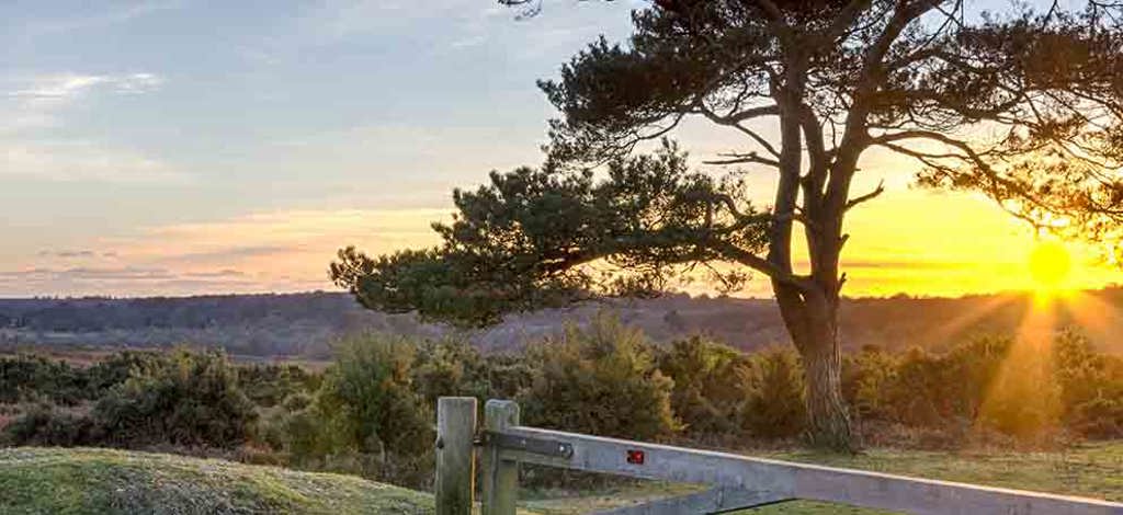 Hotels in Hampshire